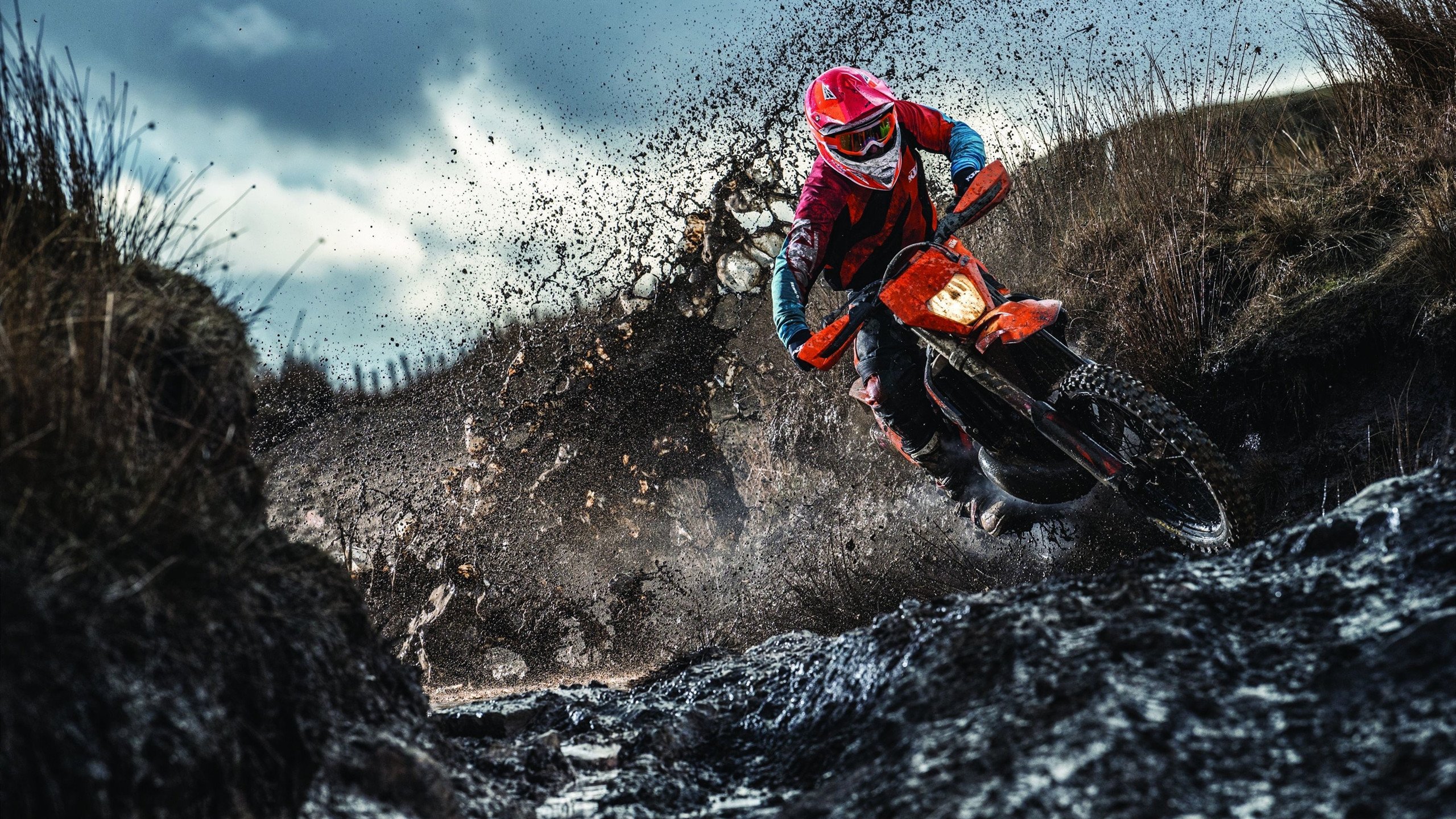 冲刺爆发力数据揭秘冠军秘密,冲刺爆发谁的技能